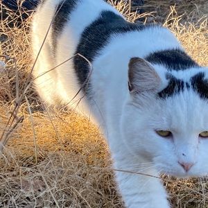 Meet your Posher, Tara